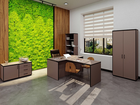 Кабинет руководителя Либерти / Liberty